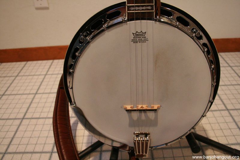 Fender banjo serial number lookup